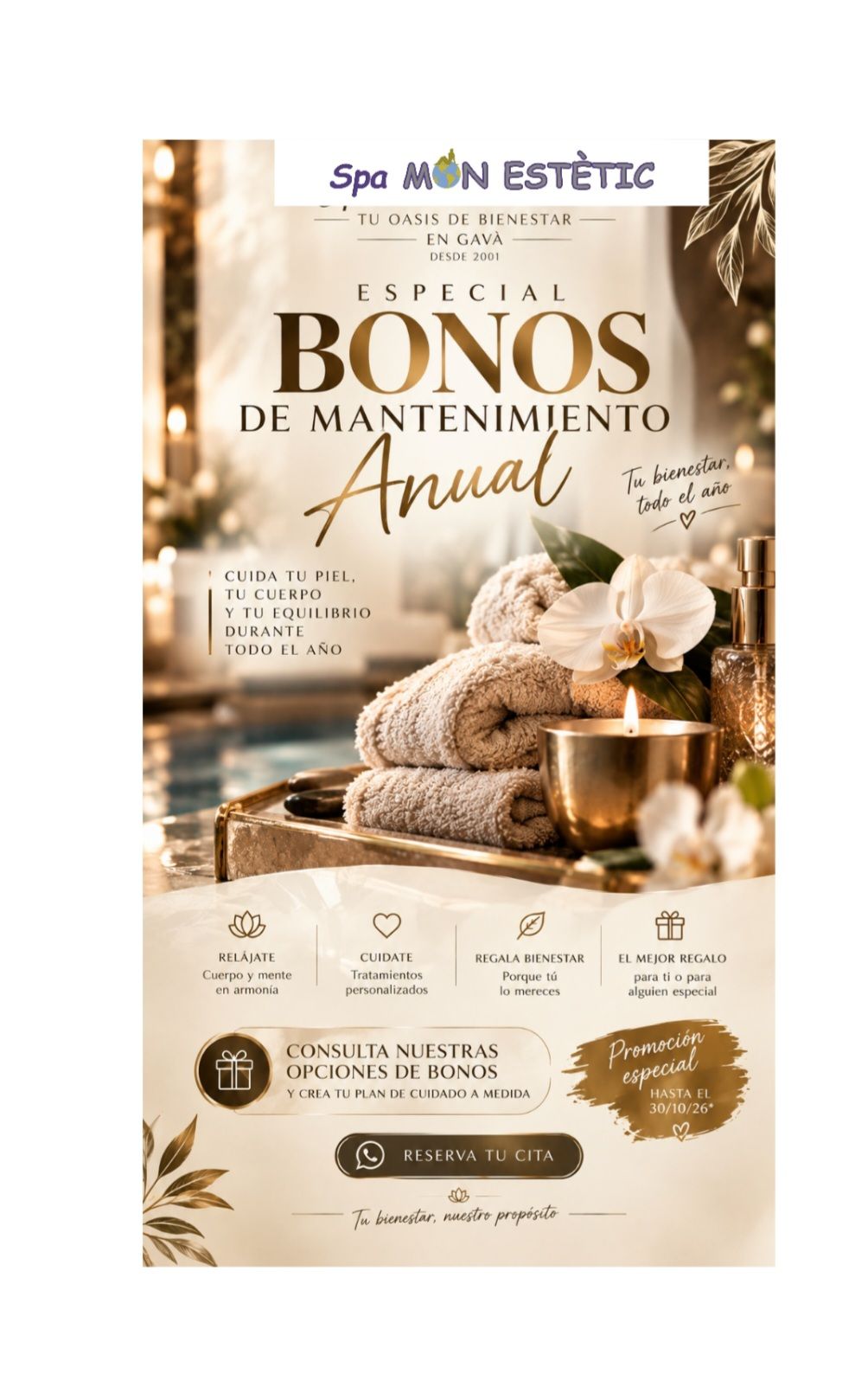 BONOS DE MANTENIMIENTO ANUAL